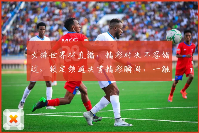 女排世界杯直播，精彩对决不容错过，锁定频道共赏精彩瞬间，一触即发