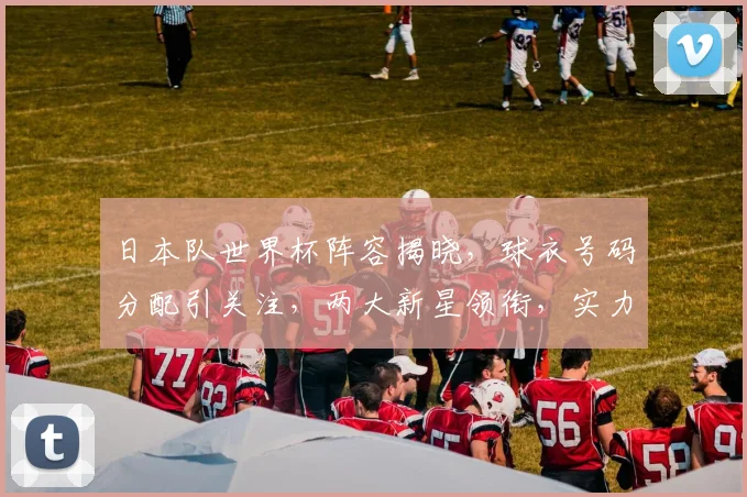 日本队世界杯阵容揭晓，球衣号码分配引关注，两大新星领衔，实力不容小觑，悬念重重