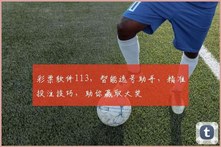 彩票软件113，智能选号助手，精准投注技巧，助你赢取大奖