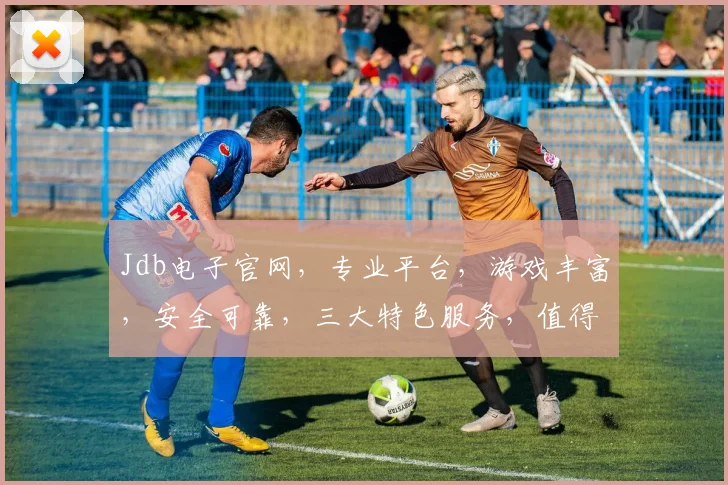 Jdb电子官网，专业平台，游戏丰富，安全可靠，三大特色服务，值得信赖